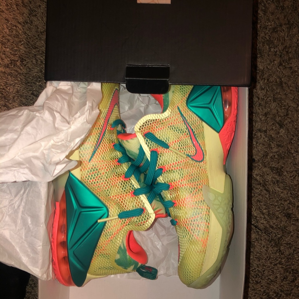 Lebronald Palmer 12’s (new)